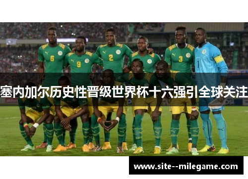 塞内加尔历史性晋级世界杯十六强引全球关注
